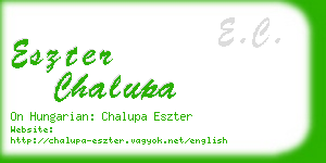 eszter chalupa business card